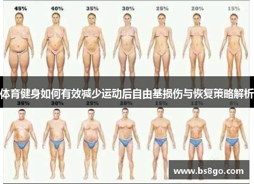 体育健身如何有效减少运动后自由基损伤与恢复策略解析